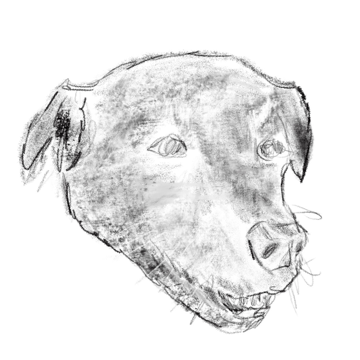 Bonnie