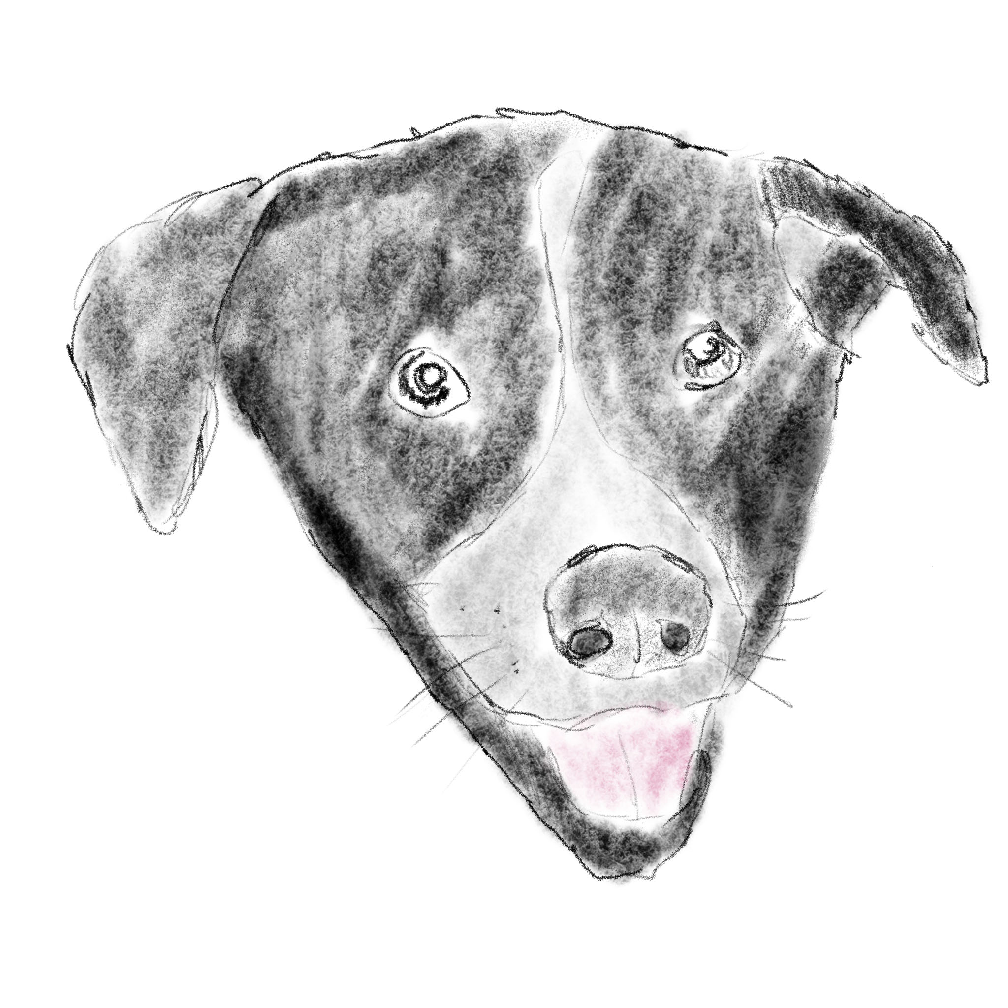 Winston