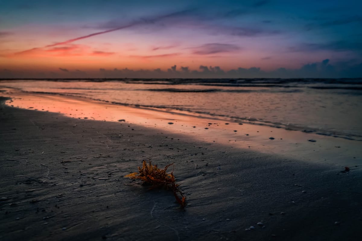 South Texas Sunrise