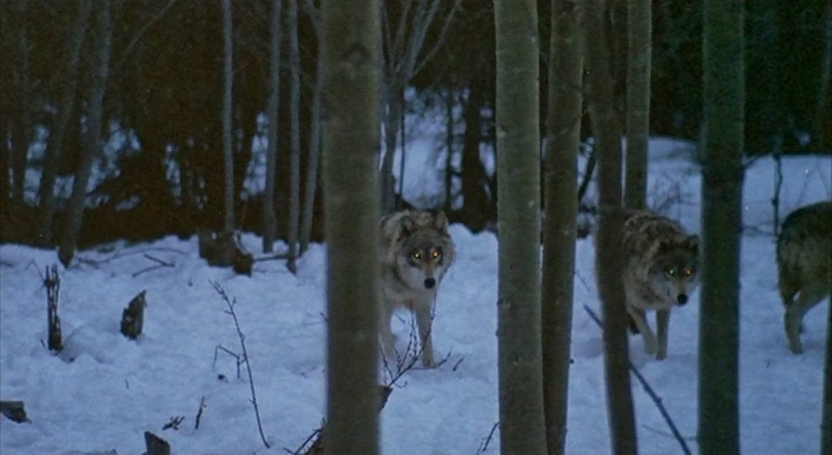Synchronicity in Film